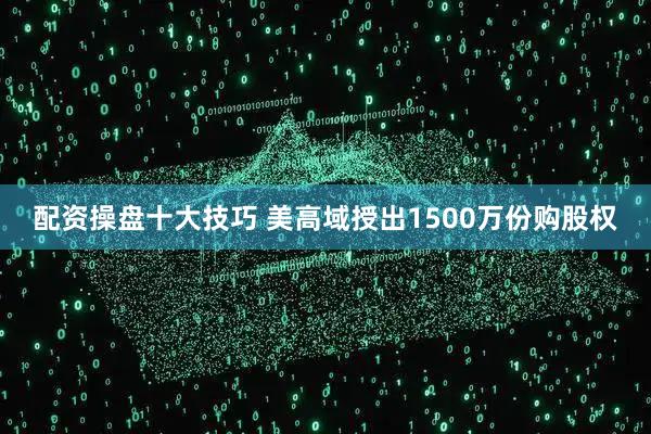配资操盘十大技巧 美高域授出1500万份购股权
